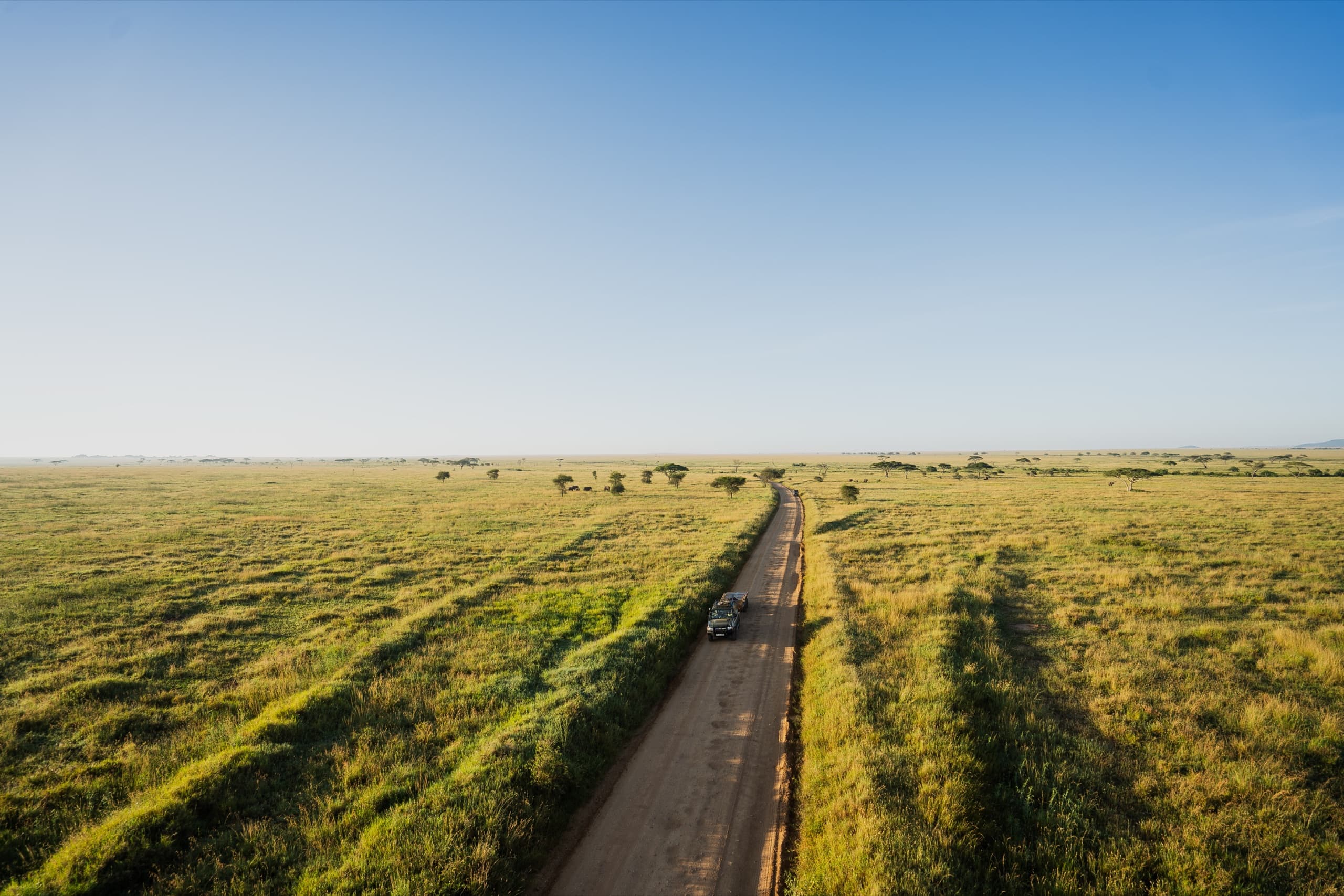 Wild Wonders & Island Bliss: Tanzania and Zanzibar
