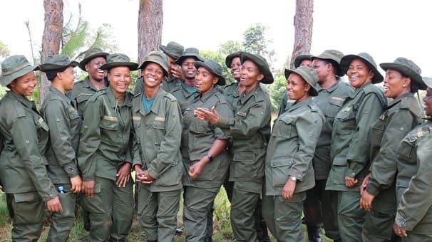 Conservation Fieldwork