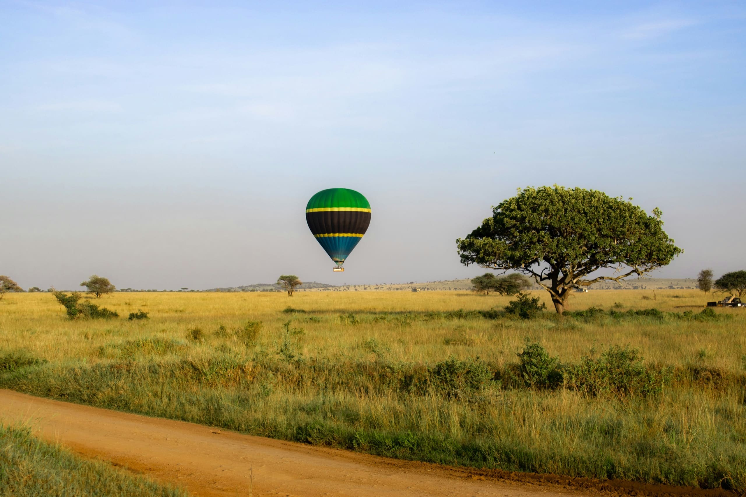 The Serengeti plains