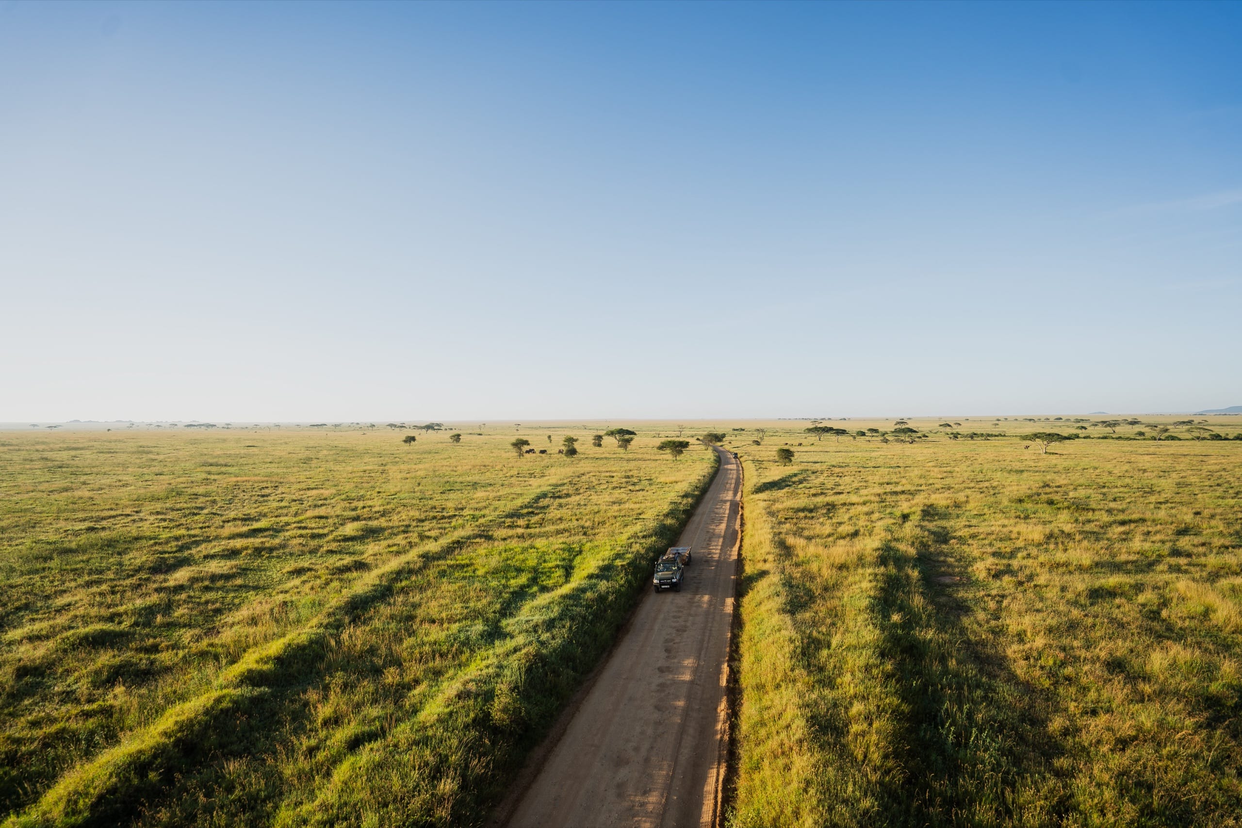 A road across the endless golden plains of the Serengeti at sunrise