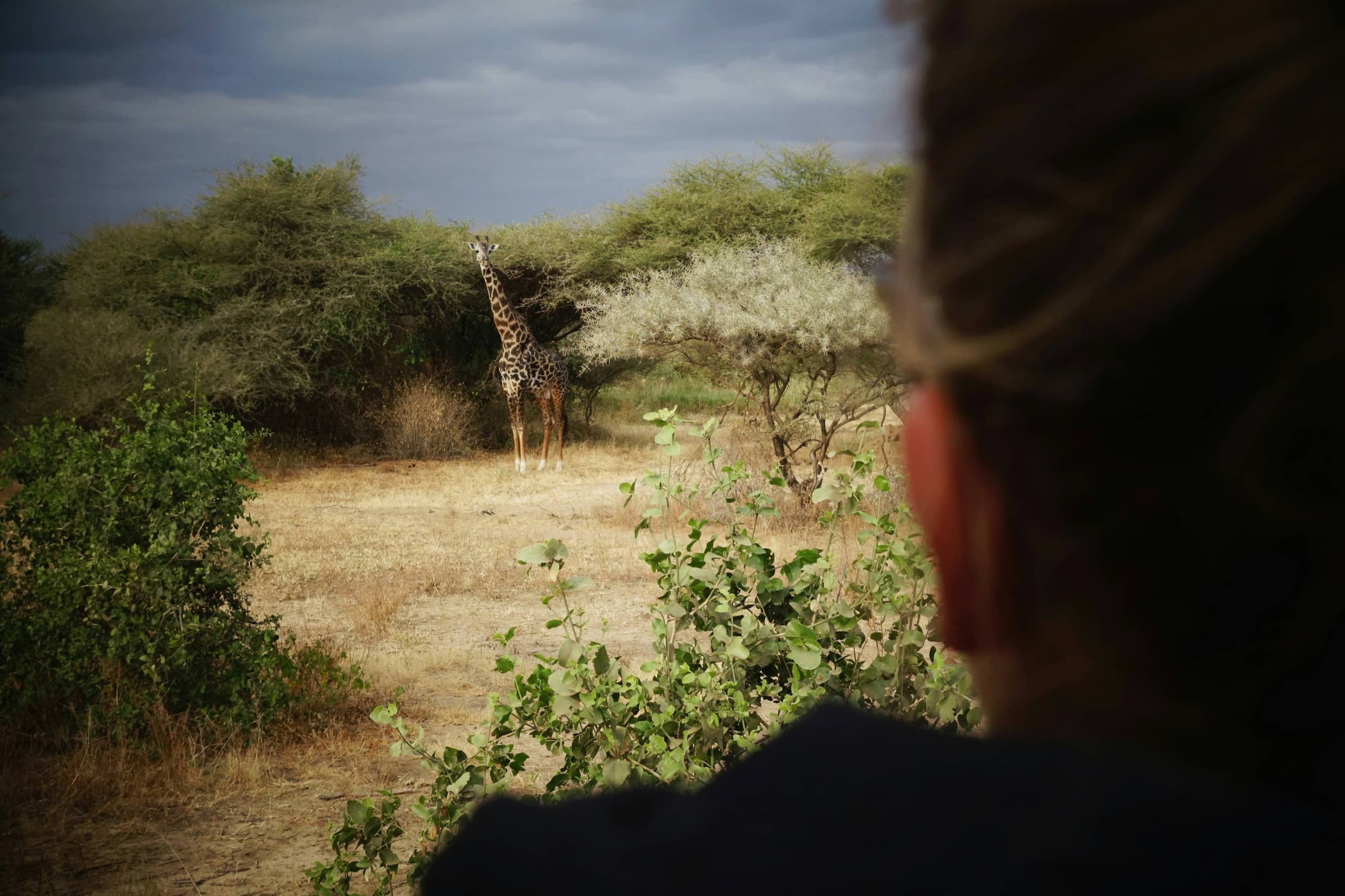 Lake Manyara, Tanzania