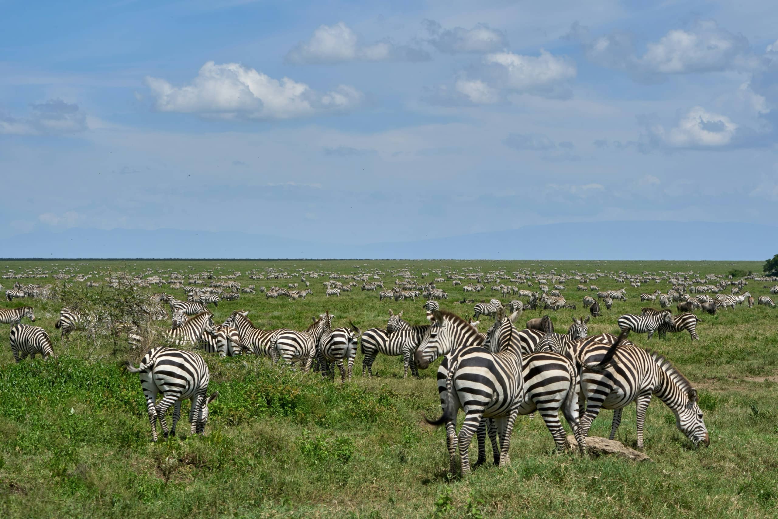 Ngorongoro Crater, Tanzania
