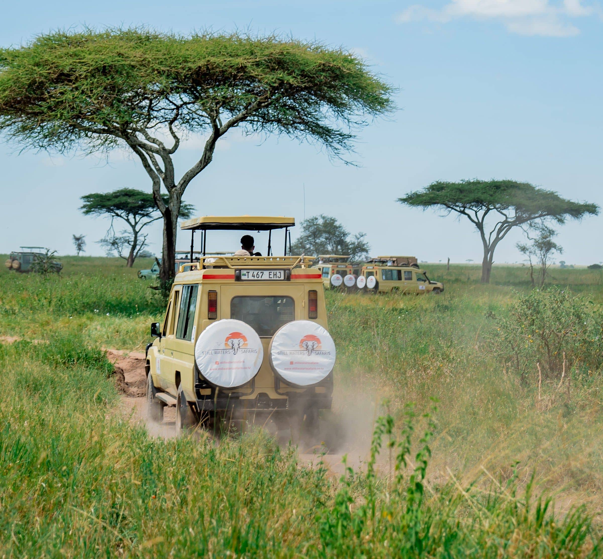 A Still Waters Safaris Land Cruiser on a game drive beneath acacia trees