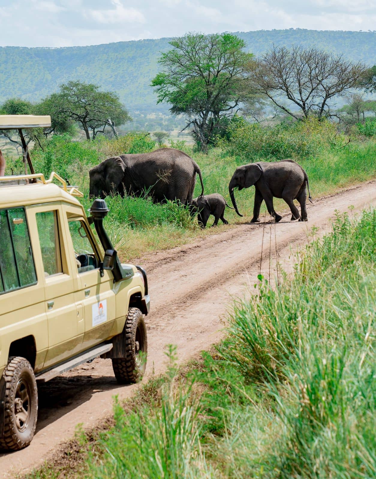 A family of elephants crossing the track in front of a safari vehicle