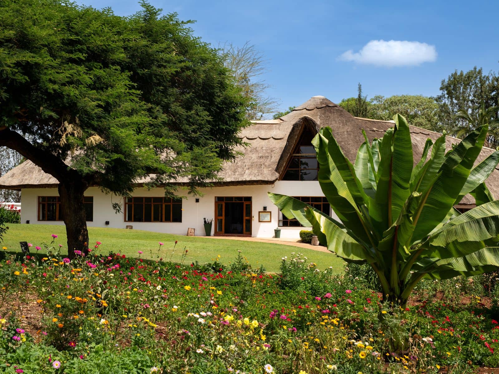 The thatched main house of Ngorongoro Farm House behind gardens in flower