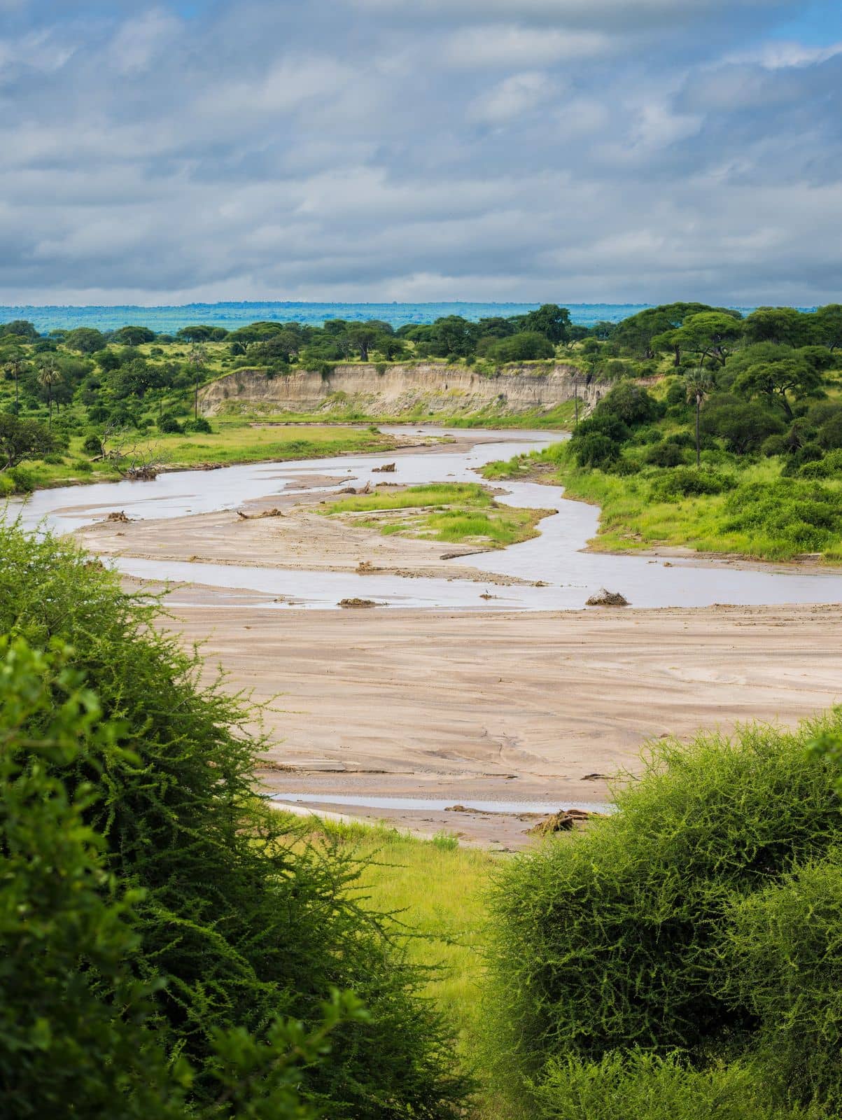 A river winding through green bush and sandy banks
