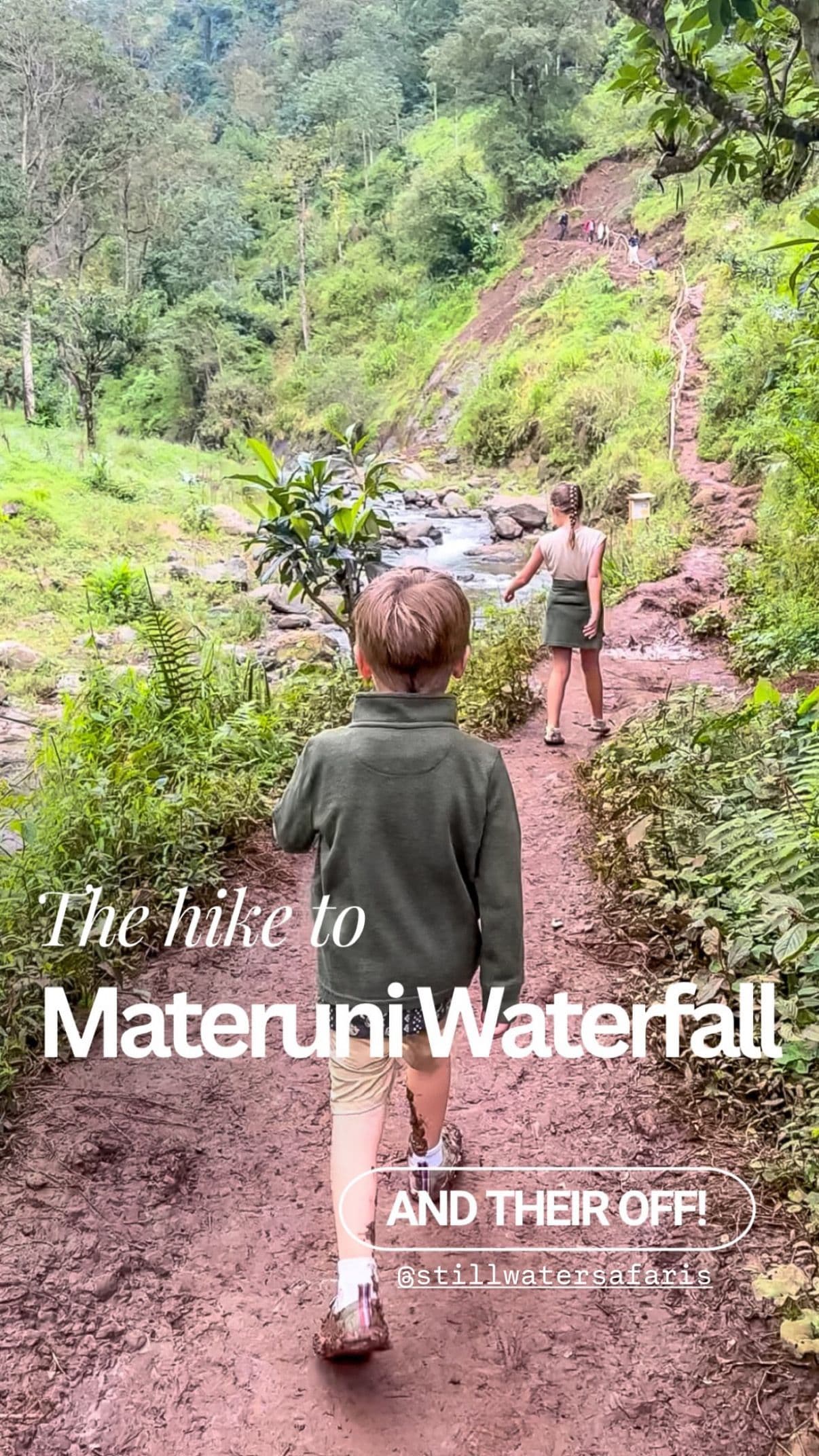 Safari & Culture Expedition: From Tarangire’s Giants to Materuni