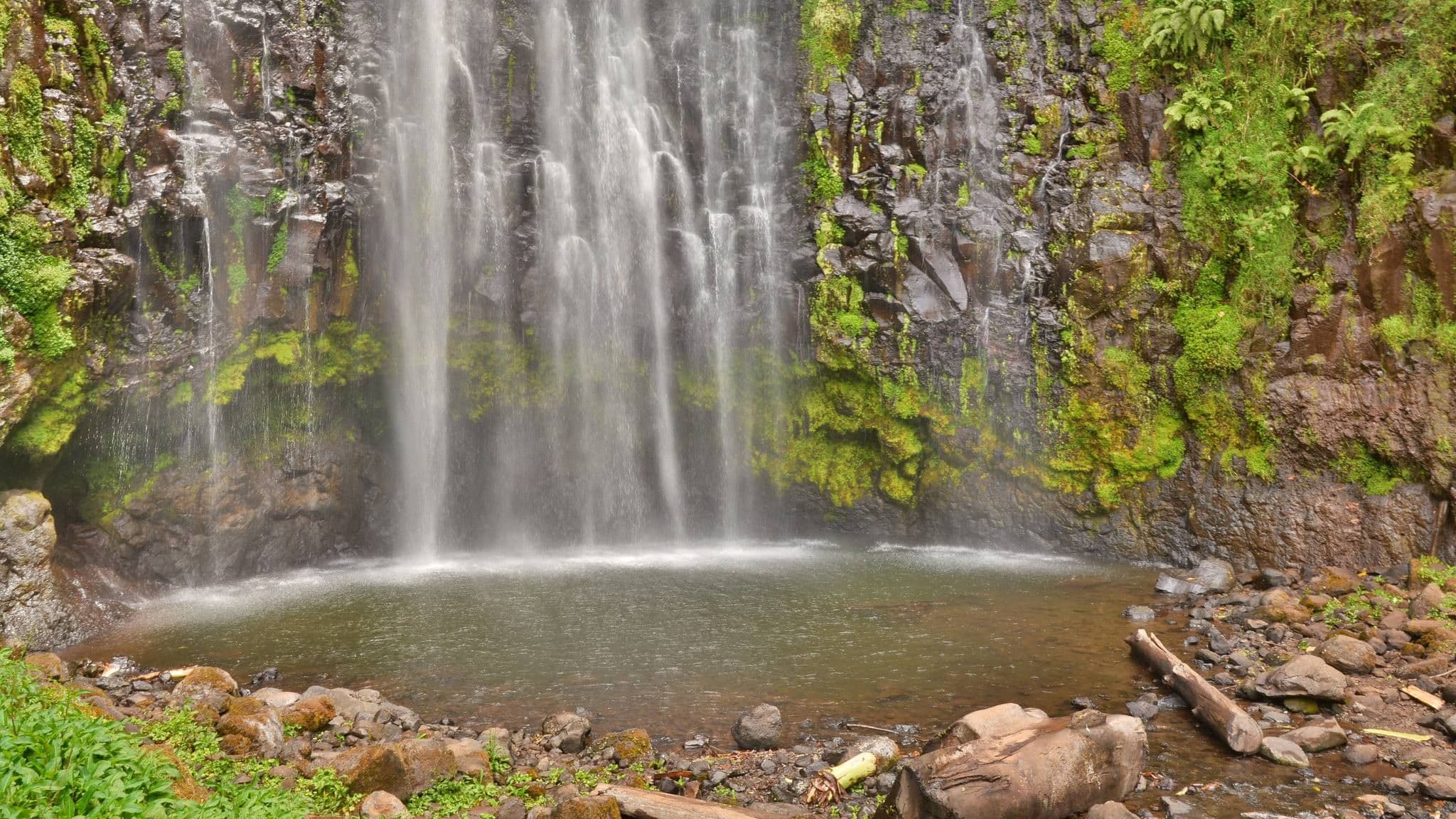 Hidden Paradise: Materuni Waterfalls Day Escape
