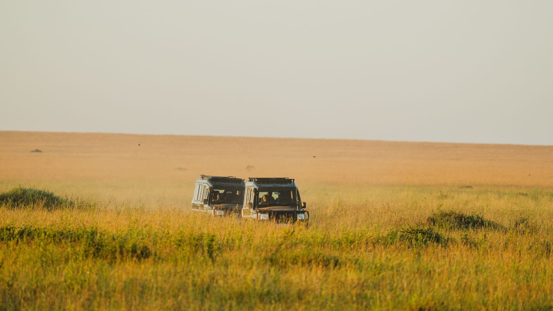 5 Days Singita Lodge Luxury Safari